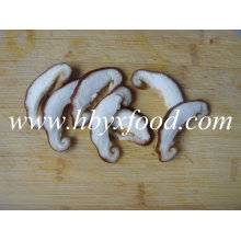 Chinesische getrocknete Champignon Pilz Shiitake Scheibe